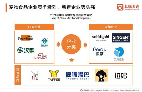 中國寵物用品產(chǎn)業(yè)鏈全景與市場(chǎng)規(guī)模洞察 技術(shù)咨詢視角下的2021年1500億元寵物食品市場(chǎng)